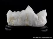 優質巴西消磁淨化大型骨幹(鱷魚)白水晶簇 綠幽靈共生 罕見精品【已售出】