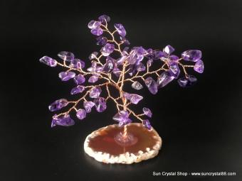 紫水晶人緣、智慧、招財樹(小) 頭腦清晰、助學業、帶來貴氣、愛的守護石【已售出】