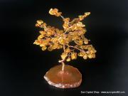 黃金琥珀健康樹(小) 中醫五寶之一，能改善健康【已售出】