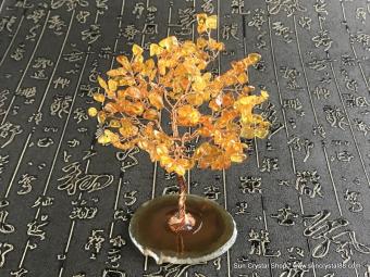 黃金琥珀健康樹(大) 中醫五寶之一，能改善健康【已售出】
